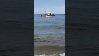 Watch as shark swims off Cape Cod shore within 10 feet of Race Point Beach in Provincetown [upl. by Goldarina]