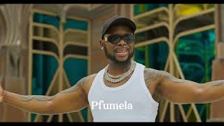 Mr Bow  Pfumela Lyric Video [upl. by Ruyam]