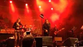 Rachid Taha  Ya Rayah  Live in Vienna 2014 [upl. by Audette]