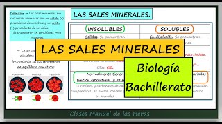 Las Sales Minerales Sales Solubles e Insolubles Biomoléculas Biología 2º BACH [upl. by Genesa]