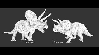 Paleo News The Case of Triceratops and Torosaurus [upl. by Alam79]