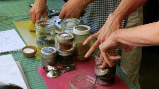 Canning Sardines at Home A Guide to Preserving the Seas Bounty [upl. by Scheers]