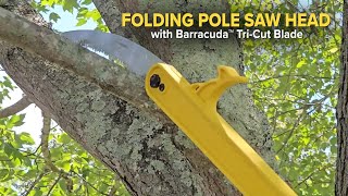 PS4FS Folding Pole Saw [upl. by Casabonne586]