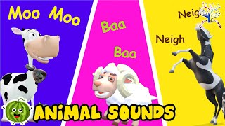 The Animal Sounds Song TA3TA1 These Are The Sounds That The Animals Make  Edufam Kids Nursery Rhyme [upl. by Graig]