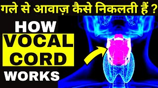 Vocal Cords In Action  Voice Box In Human Body  Vocal Cord Anatomy  How Vocal Cords Work [upl. by Ordnasil]