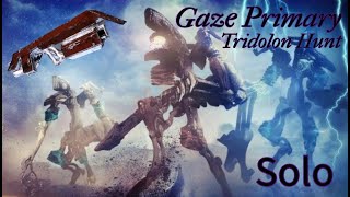 Solo Tridolon with Gaze Primary [upl. by Orva607]