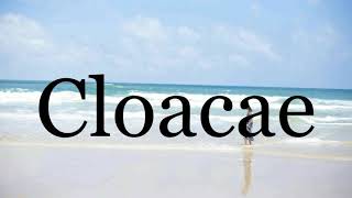 How To Pronounce Cloacae🌈🌈🌈🌈🌈🌈Pronunciation Of Cloacae [upl. by Duck]