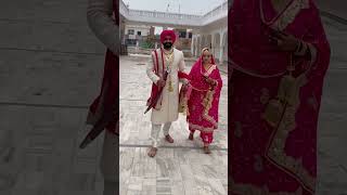 Punjabi bride style with groom wedding shoot song punjabi shortvideo [upl. by Mandy]