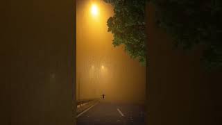 Rain  Rainy weather  Monsoon Dhanushvlog rain nature monsoon [upl. by Mauve]