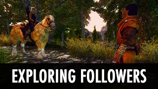 Skyrim Mod Follower Goes On A Trip [upl. by Lahcym]