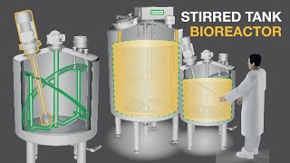 STIRRED TANK Process stirring tank PST bioreactor for fermentation coagulation [upl. by Ilyak707]