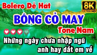 Karaoke BÔNG CỎ MAY Tone Nam Đô thăng thứ Nhạc Sống KLA  Karaoke 9669 [upl. by Frasco]