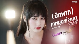 เทพบุตรใจหมา บักพาก  มินตรา น่านเจ้า【Cover Version】 [upl. by Anaiv]