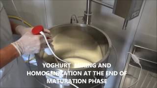 HOW TO MAKE YOGURT WITH MINI PASTEURIZER [upl. by Susette]