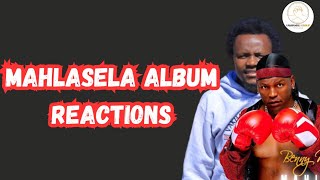 Mhayivava Comments on Benny Mayengani 2024 Album  Mahlasela xile ka Ngove [upl. by Roban944]