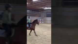 🐎 ❤️ Come Horse Riding With Me shorts horseriding horses [upl. by Kcinom]