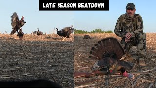 Wisconsin Turkey Hunt  Late Season Decoy BeatDown [upl. by Northrop]