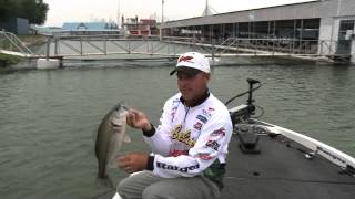 Spinnerbaits and Frogs from Lake Ray Hubbard [upl. by Anam]