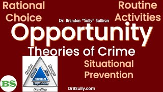 Opportunity Theories of Crime  Rational Choice Routine Activities Situational Crime Prevention [upl. by Nonnaehr]