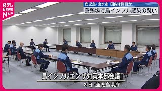 【今季国内4例目か】養鶏場で鳥インフル感染の疑い 鹿児島・出水市 [upl. by Murdocca]