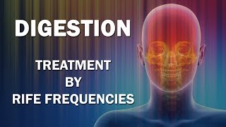 Digestion Frequency  RIFE Frequencies Treatment  Energy amp Quantum Medicine with Bioresonance [upl. by Nuahsyar]