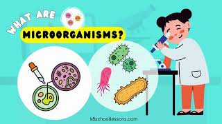 What are Microorganisms 🦠🔬🧫  Types and examples of Microorganisms [upl. by Eissak]