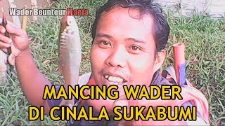 MANCING WADER DI Ci nala sukabumi Puntius binotatus  Rasbora micro fishing [upl. by Whitson18]