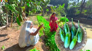 চিংড়ি মাছ দিয়ে সোলোবেগুনের সেরা স্বাদের রান্না  Grandmother style cooking Brinjal and prawn fry [upl. by Januarius]