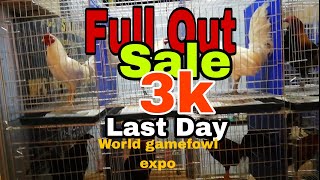 Full Out Sale Dinumog world gamefowl expo [upl. by Sile]