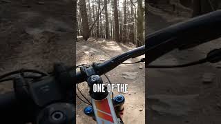 Riding Any Mountain Bike Beats Not Riding A Bike At All [upl. by Nameerf]