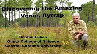 Discovering the Amazing Venus Flytrap [upl. by Dimo]