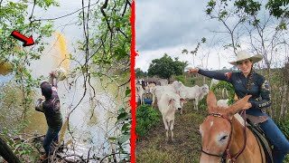 VOLTAMOS PARA FAZENDA OLHAMOS O GADO E REABASTECEMOS A CEVA NO RIO [upl. by Raclima]