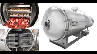 Industrial Fruit Food Vacuum Freeze Dryer Test [upl. by Aicnelev]