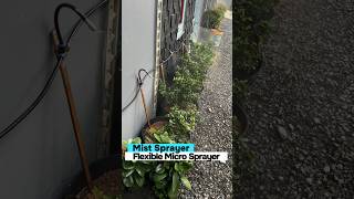 Mist Sprayer  Flexible Micro Sprayer  selang semprotan tanaman otomatis garden tipsberkebun [upl. by Ramgad]