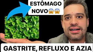 TOME ISSO PARA ESTÔMAGO ALTO E MÁ DIGESTÃO  DR RENTO SILVEIRA [upl. by Packston257]