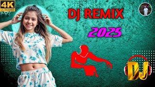 Olite Golite Remix Tumi Radha Ami Shyam Remix DJ Music Target [upl. by Patti]