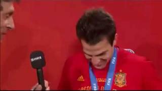 Cesc Fabregas interview after Spain win the World Cup for the first time Spain 1 Holland 0 [upl. by Beshore]