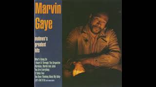 Marvin Gaye With Tammi Terrell  The Onion Song [upl. by Haggai]