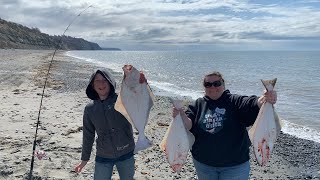 Can We Catch Limits Of Halibut From Shore Surf Fishing Alaska [upl. by Slyke147]