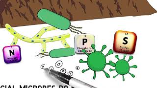 COMPOST vs RAW MANURE [upl. by Areid]