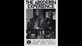 The Aboderin Experience  Isnt She Lovely Stevie Wonder [upl. by Anselmi]