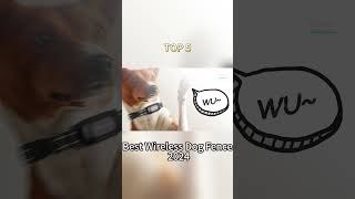 TOP 5 Best Wireless Dog Fence 2024 [upl. by Yartnoed556]