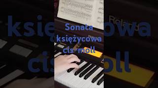 Sonata Quasi Una Fantasia Beethoven Księżycowa [upl. by Aehsat]