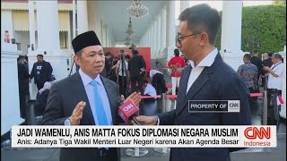 Jadi Wamenlu Anis Matta Fokus Diplomasi Negara Muslim [upl. by Donatelli225]