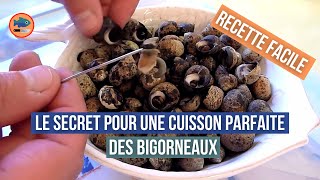 Cuisson des bigorneaux recette facile [upl. by Thirion82]