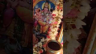 Skanda shasti pooja [upl. by Olwen441]