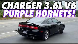 2013 Dodge Charger AWD 36L V6 w PURPLE HORNET GLASS PACKS [upl. by Adniralc]