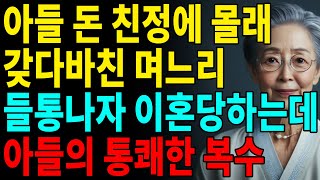 친정에 아들 월급 보낸 며느리들통나자 아들이 최고의 복수를 해주는데ㅣ사는 이야기ㅣ사연ㅣ오디오북 [upl. by Tecla]