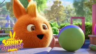 SUNNY BUNNIES  MAGICAL BALL  SEASON 7 COMPILATION  Cartoons for Kids [upl. by Lesde]