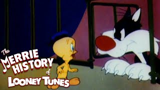 The New Stars and Management of Warner Bros Cartoons  THE MERRIE HISTORY OF LOONEY TUNES [upl. by Sokairyk161]